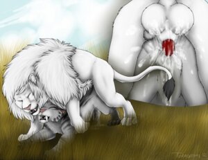 Rating: Explicit Score: 0 Tags: 2012 all_fours animal_genitalia animal_penis ass_up backsack balls big_balls blue_sky_studios bodily_fluids canon_x_oc close-up cum cum_in_vagina cum_inside cutaway digitigrade doggystyle dominant dripping duo e621 erection eyes_closed fangs felid feline_genitalia feline_penis female female_penetrated feral feral_on_feral from_behind_position fur genital_fluids genitals grass ice_age_(series) larger_dom larger_male leucistic lion male male/female male_penetrating male_penetrating_female mammal messy nude open_mouth outside pantherine penetration penile penile_penetration penis penis_in_vagina plant prehistoric_species quadruped rakeesh-twl saber-toothed_tiger sabertooth_(anatomy) sex shira_(ice_age) size_difference smaller_female smaller_penetrated tail teeth toradoshi vaginal vaginal_penetration vulva white_body white_fur User: bunchy7s