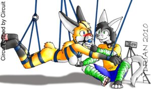 Rating: Explicit Score: 0 Tags: anthro arm_warmers armwear ball_gag bdsm blush bondage bound camera circuit_(character) clothing domestic_cat duo e621 felid feline felis female fondling gag gagged halter harness harness_ball_gag harness_gag lagomorph leg_warmers legwear leporid male mammal muzzle_(object) nude rabbit rope suspension tail tydrian voyeur User: bunchy7s