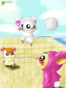 Rating: Explicit Score: 0 Tags: 1girls 2008 2boys bijou_(hamtaro) curby female hamster hamtaro hamtaro_(series) male nosebleed pussy rule34 tagme volleyball User: bunchy7s Rating: Explicit Score: 0 Tags: 1girls 2008 2boys bijou_(hamtaro) curby female hamster hamtaro hamtaro_(series) male nosebleed pussy rule34 tagme volleyball User: bunchy7s