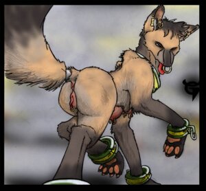 Rating: Explicit Score: 0 Tags: 2006 accessory animal_genitalia animal_vulva anus breasts butt canid canine canine_genitalia canine_vulva chain clitoris clitoris_piercing collar cuff_(restraint) deadringtail e621 ear_piercing facial_piercing female feral furgonomics genital_piercing genitals handcuffs jewelry looking_at_viewer mammal metal_cuffs nipple_piercing nipples nose_piercing nose_ring open_mouth paws piercing plump_labia raised_tail restraints ring ring_piercing septum_piercing shackles solo tail tail_accessory tail_anus tail_jewelry tail_ring tongue tongue_out tongue_piercing vulva vulva_piercing User: bunchy7s Rating: Explicit Score: 0 Tags: 2006 accessory animal_genitalia animal_vulva anus breasts butt canid canine canine_genitalia canine_vulva chain clitoris clitoris_piercing collar cuff_(restraint) deadringtail e621 ear_piercing facial_piercing female feral furgonomics genital_piercing genitals handcuffs jewelry looking_at_viewer mammal metal_cuffs nipple_piercing nipples nose_piercing nose_ring open_mouth paws piercing plump_labia raised_tail restraints ring ring_piercing septum_piercing shackles solo tail tail_accessory tail_anus tail_jewelry tail_ring tongue tongue_out tongue_piercing vulva vulva_piercing User: bunchy7s