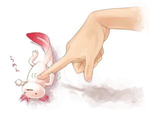 Rating: Safe Score: 0 Tags: ambiguous_gender amphibian aquatic axolotl daww digital_media_(artwork) digital_painting_(artwork) disembodied_hand duo e621 external_gills feral gills human mammal mole_salamander nakashima723 painting_(artwork) salamander scratch simple_background solo_focus white_background User: bunchy7s