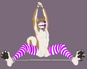 Rating: Explicit Score: 0 Tags: 2010 5:4 andromorph anthro armpit_hair arms_above_head ball_gag bdsm body_hair bondage bound canid canine canis clothing collar connor.drake digital_media_(artwork) domestic_dog e621 gag gagged genitals ifus intersex legwear mammal nude pattern_clothing pattern_legwear restraints solo spread_legs spreader_bar spreading stockings striped_clothing striped_legwear stripes submissive submissive_andromorph submissive_intersex tail vulva User: bunchy7s