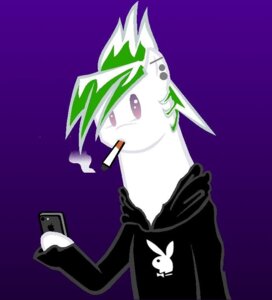Rating: Safe Score: 0 Tags: alternative_fashion anthro apple_inc. cellphone cigarette clothing coffee_mixer e621 ear_piercing electronics green_hair hair holding_object holding_phone hoodie iphone lagomorph leporid male mammal phone piercing playboy playboy_bunny_logo purple_background rabbit simple_background smartphone smoke smoking solo topwear User: bunchy7s