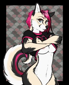 Rating: Questionable Score: 0 Tags: 2014 anthro bottomless breasts canid canine clothed clothing clothing_lift e621 female fur hair mammal narcotic_sprinkles pink_hair shirt shirt_lift solo sweater topwear undressing yellow_body yellow_fur User: bunchy7s