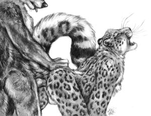 Rating: Explicit Score: 0 Tags: 2012 all_fours anal anal_penetration animal_genitalia anthro anus backsack balls blotch butt butt_grab canid canine canis doggystyle duo e621 erection eyes_closed felid from_behind_position genitals greyscale hair hand_on_butt interspecies knot leopard_spots male male/male male_penetrated male_penetrating male_penetrating_male mammal monochrome nude open_mouth pantherine penetration penis scratches_volume_6 sex simple_background sketch snow_leopard spots tail tongue traditional_media_(artwork) whiskers white_background wolf User: bunchy7s Rating: Explicit Score: 0 Tags: 2012 all_fours anal anal_penetration animal_genitalia anthro anus backsack balls blotch butt butt_grab canid canine canis doggystyle duo e621 erection eyes_closed felid from_behind_position genitals greyscale hair hand_on_butt interspecies knot leopard_spots male male/male male_penetrated male_penetrating male_penetrating_male mammal monochrome nude open_mouth pantherine penetration penis scratches_volume_6 sex simple_background sketch snow_leopard spots tail tongue traditional_media_(artwork) whiskers white_background wolf User: bunchy7s