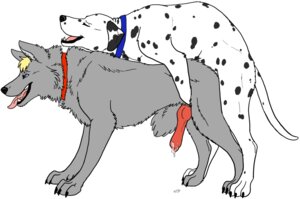Rating: Explicit Score: 0 Tags: animal_genitalia animal_penis barkwoof canid canine canine_genitalia canine_penis canis dalmatian domestic_dog duo e621 erection feral feral_on_feral fur genitals grey_body grey_fur knot male male/male mammal penis quadruped tail wolf User: bunchy7s