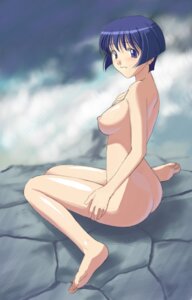 Rating: Explicit Score: 0 Tags: 1girls ai_yori_aoshi artist_request ass blue_hair blush breasts female nude rule34 sakuraba_aoi short_hair User: bunchy7s
