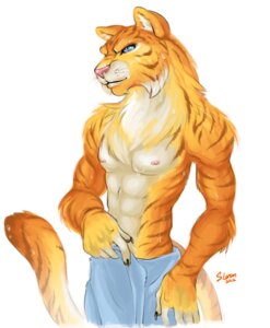 Rating: Safe Score: 0 Tags: 2012 athletic athletic_male blue_eyes clothed clothing e621 felid fortunata male mammal nipples pantherine simple_background solo stripes tail tiger topless towel towel_only wet User: bunchy7s