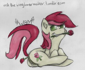 Rating: Explicit Score: 0 Tags: anal anus butt e621 earth_pony english_text equid equine female feral flower flower_in_ass flower_in_mouth friendship_is_magic genitals green_eyes grin hasbro horse improvised_sex_toy looking_at_viewer mammal my_little_pony namesake penetration plant pony quadruped red_flower red_rose rose_(flower) rose_(mlp) rose_in_mouth simple_background smile solo tail text the-wag thorns traditional_media_(artwork) vulva wet white_background User: bunchy7s