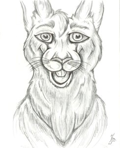Rating: Safe Score: 0 Tags: anthro black_and_white bust_portrait e621 feral hi_res korey_flynn lagomorph leporid male mammal monochrome portrait rabbit sketch smile smirk solo teeth User: bunchy7s Rating: Safe Score: 0 Tags: anthro black_and_white bust_portrait e621 feral hi_res korey_flynn lagomorph leporid male mammal monochrome portrait rabbit sketch smile smirk solo teeth User: bunchy7s