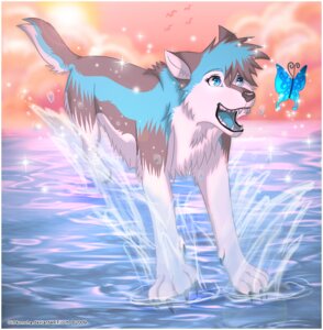 Rating: Safe Score: 0 Tags: ambiguous_gender arthropod blue_eyes butterfly canid canine canis domestic_dog duo e621 feral girl_konoha insect lepidopteran mammal playful solo_focus tail water User: bunchy7s Rating: Safe Score: 0 Tags: ambiguous_gender arthropod blue_eyes butterfly canid canine canis domestic_dog duo e621 feral girl_konoha insect lepidopteran mammal playful solo_focus tail water User: bunchy7s