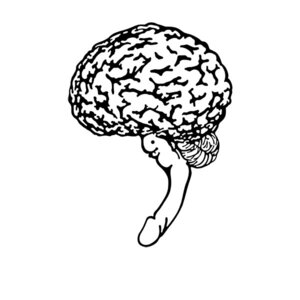 Rating: Explicit Score: 0 Tags: brain inanimate male male_only rule34 tagme User: bunchy7s