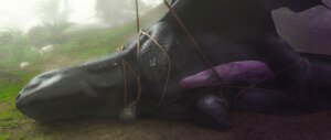 Rating: Explicit Score: 0 Tags: bdsm black_body black_scales bondage bound claws dragon dreamworks e621 erection european_mythology feral fury_(httyd) genitals how_to_train_your_dragon leaf long_penis male membrane_(anatomy) membranous_wings mythological_creature mythological_scalie mythology night_fury nude outside penis rope scales scalie secretly_loves_it solo submissive submissive_male toothless unknown_artist western_dragon wings User: bunchy7s