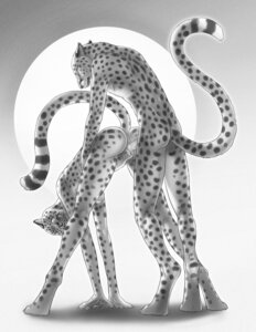 Rating: Explicit Score: 0 Tags: all_fours animal_genitalia animal_penis anthro anthro_on_anthro anus ass_up bagheera bent_over breasts butt cheetah duo e621 erection eyes_closed fangs felid feline feline_genitalia feline_penis female female_penetrated from_behind_position genitals gradient_background grey_background greyscale hi_res khisa knee_pit male male/female male_penetrating male_penetrating_female mammal monochrome nipples nude open_mouth penetration penile penile_penetration penile_spines penis penis_in_vagina raised_tail sex simple_background snarling spots spread_legs spreading standing tail teeth vaginal vaginal_penetration User: bunchy7s