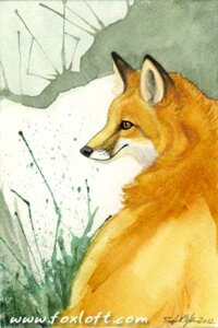 Rating: Safe Score: 0 Tags: 2012 2:3 ambiguous_gender canid canine e621 feral fox foxfeather low_res mammal painting_(artwork) red_fox solo traditional_media_(artwork) traditional_painting_(artwork) traditional_watercolor_(artwork) true_fox watercolor_(artwork) User: bunchy7s