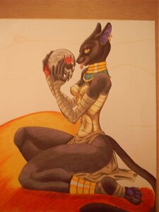 Rating: Safe Score: 0 Tags: 3:4 ankh anthro arcticfoxie bast black_body black_fur bone breasts claws clothing deity domestic_cat dress e621 ear_piercing egyptian egyptian_clothing egyptian_mythology felid feline felis female fur gold_(metal) insane jewelry kneeling looking_at_viewer mammal middle_eastern_mythology mythology necklace pawpads paws pectoral_(jewelry) piercing skull solo tail tongue User: bunchy7s