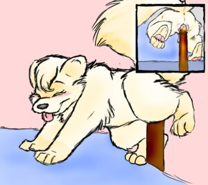 Rating: Explicit Score: 0 Tags: 2008 all_fours anatomically_correct anatomically_correct_genitalia anatomically_correct_vulva animal_genitalia animal_vulva anus bed bedpost blush crotch_rub dingyote e621 eyes_closed female feral fur furniture genitals hair improvised_dildo improvised_sex_toy mammal masturbation nude pawpads paws penetration procyonid raccoon sachicoon_(char) solo tail tongue toony vaginal vaginal_masturbation vulva white_body white_fur white_hair User: bunchy7s