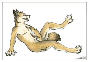 Rating: Explicit Score: 0 Tags: 1boy 2006 anthro balls canine disporting_in_the_desert fur furry male male_only masturbation penis rule34 sheath solo tail tani_da_real User: bunchy7s