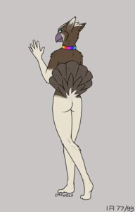Rating: Questionable Score: 0 Tags: 2013 accipitriform ambiguous_gender anthro avian bird canid canine catwolf collar e621 fox gryphon hybrid looking_back mammal mythological_avian mythological_creature mythology osprey psyrus rainbow raised_tail solo tail User: bunchy7s
