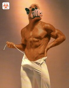 Rating: Explicit Score: 0 Tags: 1boy alf alien biohazard_(artist) erect_nipples erection_under_clothes gordon_shumway hairy hairy_male male male_only muscular muscular_male nipples pants_open rule34 shirtless tagme vpl User: bunchy7s