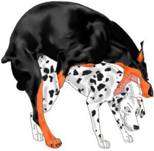 Rating: Explicit Score: 0 Tags: 101_dalmatians 1boy 1girls canine crossover dalmatian disney doberman dobermann dog doggy_style female feral feral_on_feral feral_penetrated feral_penetrating feral_penetrating_feral fur furry klaus_doberman male male/female mammal oliver_and_company perdita roscoe_(disney) rule34 spots_(marking) spotted_body spotted_fur straight User: bunchy7s