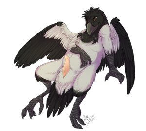 Rating: Explicit Score: 0 Tags: 2013 animal_genitalia anthro avian beak bird corvid corvus_(genus) crow e621 erection feathered_wings feathers feet genitals grostenmeiers hooded_crow jackrow_(character) leaning male nude oscine passerine penis pink_penis presenting presenting_penis reclining seductive simple_background slightly_chubby solo talons tapering_penis toes white_background wings User: bunchy7s Rating: Explicit Score: 0 Tags: 2013 animal_genitalia anthro avian beak bird corvid corvus_(genus) crow e621 erection feathered_wings feathers feet genitals grostenmeiers hooded_crow jackrow_(character) leaning male nude oscine passerine penis pink_penis presenting presenting_penis reclining seductive simple_background slightly_chubby solo talons tapering_penis toes white_background wings User: bunchy7s