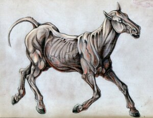 Rating: Safe Score: 0 Tags: ambiguous_gender e621 empty_eyes equid equine feral hooves horse mammal pearleden quadruped simple_background solo tail textured_background undead unguligrade User: bunchy7s Rating: Safe Score: 0 Tags: ambiguous_gender e621 empty_eyes equid equine feral hooves horse mammal pearleden quadruped simple_background solo tail textured_background undead unguligrade User: bunchy7s