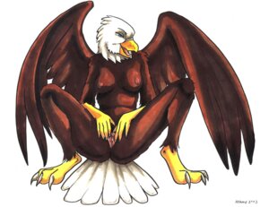 Rating: Explicit Score: 0 Tags: 2003 accipitrid accipitriform anthro avian ayame_emaya bald_eagle beak bird blue_eyes breasts e621 eagle feathered_wings feathers female genitals nipples non-mammal_breasts non-mammal_nipples nude sea_eagle simple_background solo spread_legs spread_vulva spreading vulva white_background wings User: bunchy7s Rating: Explicit Score: 0 Tags: 2003 accipitrid accipitriform anthro avian ayame_emaya bald_eagle beak bird blue_eyes breasts e621 eagle feathered_wings feathers female genitals nipples non-mammal_breasts non-mammal_nipples nude sea_eagle simple_background solo spread_legs spread_vulva spreading vulva white_background wings User: bunchy7s