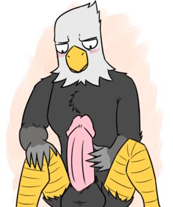 Rating: Explicit Score: 0 Tags: 5:6 accipitrid accipitriform animal_crossing anthro apollo_(animal_crossing) avian bald_eagle balls big_penis bird blush e621 eagle erection genitals humanoid_genitalia humanoid_penis looking_at_genitalia looking_at_penis luigiman male masturbation nintendo non-mammal_balls penile penile_masturbation penis sea_eagle solo User: bunchy7s Rating: Explicit Score: 0 Tags: 5:6 accipitrid accipitriform animal_crossing anthro apollo_(animal_crossing) avian bald_eagle balls big_penis bird blush e621 eagle erection genitals humanoid_genitalia humanoid_penis looking_at_genitalia looking_at_penis luigiman male masturbation nintendo non-mammal_balls penile penile_masturbation penis sea_eagle solo User: bunchy7s