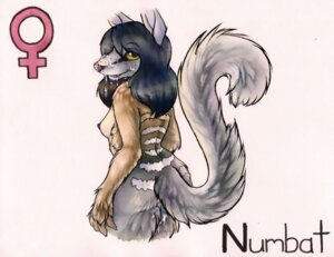 Rating: Explicit Score: 0 Tags: anthro bodily_fluids breasts cum cum_on_face dasyuromorph e621 female fluffy fluffy_tail genital_fluids hair looking_at_viewer mammal marsupial nipples nude numbat open_mouth ruaidri smile solo tail yellow_eyes User: bunchy7s
