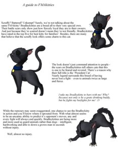 Rating: Safe Score: 0 Tags: black_body black_fur collar domestic_cat e621 english_text eye_patch eyewear felid feline felis feral fmakitties fullmetal_alchemist fur king_bradley male mammal pink_nose solo text unknown_artist whiskers User: bunchy7s Rating: Safe Score: 0 Tags: black_body black_fur collar domestic_cat e621 english_text eye_patch eyewear felid feline felis feral fmakitties fullmetal_alchemist fur king_bradley male mammal pink_nose solo text unknown_artist whiskers User: bunchy7s
