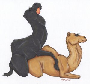 Rating: Explicit Score: 0 Tags: 2012 all_fours arabian black_body black_fur brown_body brown_fur camel camelid cloven_hooves doggystyle doula dromedary dulaa duo e621 fatty_humps female feral feral_on_feral from_behind_position fur hi_res hooves karja koosh kooshed male male/female mammal sex simple_background unguligrade white_background User: bunchy7s Rating: Explicit Score: 0 Tags: 2012 all_fours arabian black_body black_fur brown_body brown_fur camel camelid cloven_hooves doggystyle doula dromedary dulaa duo e621 fatty_humps female feral feral_on_feral from_behind_position fur hi_res hooves karja koosh kooshed male male/female mammal sex simple_background unguligrade white_background User: bunchy7s