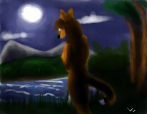 Rating: Safe Score: 0 Tags: 2010 ambiguous_gender anthro canid canine detailed_background e621 fox lake leader_(character) leaderwolfeh mammal moon nature nude outside sketch sky solo tail toony User: bunchy7s
