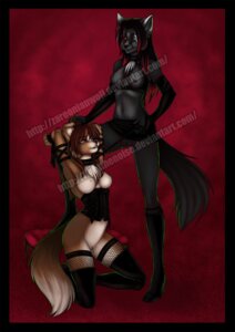 Rating: Explicit Score: 0 Tags: 2010 anthro anthro_on_anthro arms_above_head bdsm bondage boots bottomwear bound breasts canid canine clothing collar corset dominant dominant_female dominatrix duo e621 female female/female fingers footwear genitals high_heeled_boots high_heels leash legwear lingerie mammal miniskirt nipples restraints shoes skirt stockings submissive submissive_female tail thigh_boots thigh_highs topwear vulva watermark zareonianwolf User: bunchy7s