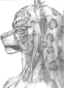 Rating: Safe Score: 0 Tags: 2012 ambiguous_gender bust_portrait e621 ear_piercing felid frostwyrm102 hi_res mammal monochrome piercing portrait solo User: bunchy7s Rating: Safe Score: 0 Tags: 2012 ambiguous_gender bust_portrait e621 ear_piercing felid frostwyrm102 hi_res mammal monochrome piercing portrait solo User: bunchy7s