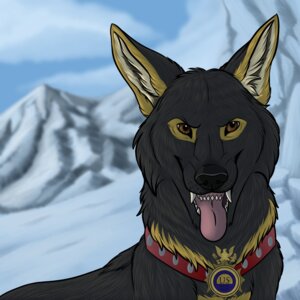 Rating: Safe Score: 0 Tags: 1:1 badge canid canine canis cloud collar domestic_dog e621 fangs feral german_shepherd herding_dog male mammal military mountain outside pastoral_dog police sky smaller_version_at_source snow solo star-gazer streetdog teeth tongue winter User: bunchy7s Rating: Safe Score: 0 Tags: 1:1 badge canid canine canis cloud collar domestic_dog e621 fangs feral german_shepherd herding_dog male mammal military mountain outside pastoral_dog police sky smaller_version_at_source snow solo star-gazer streetdog teeth tongue winter User: bunchy7s