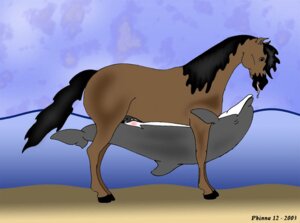 Rating: Explicit Score: 0 Tags: 2003 aquatic cetacean dolphin duo e621 equid equine female feral horse interspecies male male/female mammal nude oceanic_dolphin phinna quadruped tail tongue toothed_whale User: bunchy7s