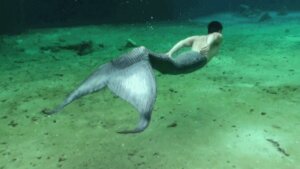Rating: Safe Score: 0 Tags: 16:9 animated animated_gif aquatic bubble e621 fish_tail full-length_portrait grandfathered_content low_res male merfolk portrait real sea seabed short_playtime solo split_form underwater unknown_artist water widescreen User: bunchy7s