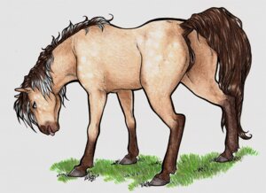 Rating: Explicit Score: 0 Tags: anatomically_correct anatomically_correct_anus animal_genitalia animal_vulva anus blue_eyes e621 equid equine equine_anus equine_genitalia equine_vulva eris_(marefurryfan) female feral genitals hooves horse looking_at_viewer mammal presenting psychostray puffy_anus quadruped raised_tail solo tail tongue tongue_out vulva User: bunchy7s Rating: Explicit Score: 0 Tags: anatomically_correct anatomically_correct_anus animal_genitalia animal_vulva anus blue_eyes e621 equid equine equine_anus equine_genitalia equine_vulva eris_(marefurryfan) female feral genitals hooves horse looking_at_viewer mammal presenting psychostray puffy_anus quadruped raised_tail solo tail tongue tongue_out vulva User: bunchy7s