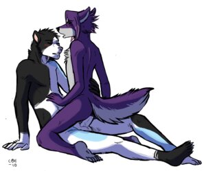 Rating: Explicit Score: 0 Tags: 2010 anal anal_sex anthro balls blush canine cbh closed_eyes couple cuddle erection eyes feline fur furry furry_only gay hug humanoid_penis male no_humans open_mouth penetration penis raised_tail rule34 sex skylar tail wolf zander User: bunchy7s