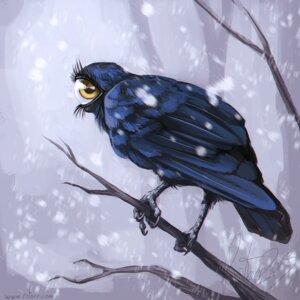Rating: Safe Score: 0 Tags: 1:1 1_eye 2013 ambiguous_gender avian biped bipedal_feral bird blue_body blue_feathers e621 feathers feral looking_at_viewer outside rotarr snow snowing solo tail tail_feathers what what_has_science_done winter User: bunchy7s