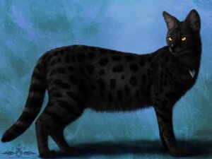 Rating: Safe Score: 0 Tags: 4:3 ambiguous_gender black_body black_fur domestic_cat e621 felid feline felis feral fur mammal melanistic mixed_breed savannah_cat solo spots ykoriana User: bunchy7s
