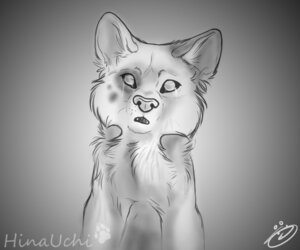 Rating: Safe Score: 0 Tags: 6:5 ambiguous_gender angry anthropornorphic australian_shepherd blind bodily_fluids canid canine canis confusion crying depression disability domestic_dog e621 feral greyscale herding_dog mammal monochrome pastoral_dog rena_(hinauchi) sad sheepdog solo tears water User: bunchy7s