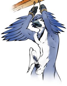 Rating: Explicit Score: 0 Tags: 2010 animal_genitalia animal_penis anthro avian balls barrodin bdsm beak bird black_beak blue_body blue_feathers blue_jay bodily_fluids bondage bound canine_genitalia canine_penis corvid cum e621 erection eyes_closed feathered_wings feathers genital_fluids genitals jay_(bird) knot male navel new_world_jay nude oscine passerine penile penis penis_milking restrained salun_(pjt) simple_background solo submissive submissive_male white_background wings User: bunchy7s
