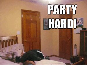 Rating: Safe Score: 0 Tags: 4:3 animated animated_gif bed e621 english_text furniture grandfathered_content human human_only humor loop low_res male mammal meme not_furry party_hard photo real short_playtime solo text unknown_artist User: bunchy7s Rating: Safe Score: 0 Tags: 4:3 animated animated_gif bed e621 english_text furniture grandfathered_content human human_only humor loop low_res male mammal meme not_furry party_hard photo real short_playtime solo text unknown_artist User: bunchy7s
