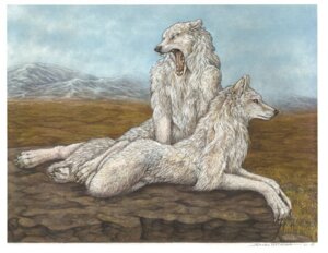 Rating: Safe Score: 0 Tags: 2009 ambiguous_gender anthro canid canine canis dark_natasha detailed detailed_background duo e621 fur gaping_mouth landscape mammal mountain open_mouth outcrop outside realistic smaller_version_at_source tail traditional_media_(artwork) white_body white_fur wolf yawn User: bunchy7s