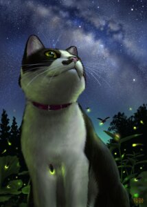 Rating: Safe Score: 0 Tags: 2010 ambient_arthropod ambient_firefly ambient_insect ambiguous_gender arthropod collar domestic_cat e621 felid feline felis feral glowing group low-angle_view mammal matataku night outside realistic sky solo_focus star starry_sky whiskers User: bunchy7s Rating: Safe Score: 0 Tags: 2010 ambient_arthropod ambient_firefly ambient_insect ambiguous_gender arthropod collar domestic_cat e621 felid feline felis feral glowing group low-angle_view mammal matataku night outside realistic sky solo_focus star starry_sky whiskers User: bunchy7s