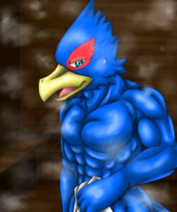 Rating: Safe Score: 0 Tags: 5:6 abs anthro avian beak biceps bird blue_body blue_feathers bodily_fluids e621 falco_lombardi feathers male mike_(pixiv) muscular muscular_anthro muscular_male nintendo nude pecs solo star_fox sweat towel User: bunchy7s