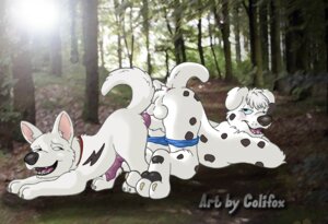 Rating: Explicit Score: 0 Tags: anthro balls bolt_(bolt) bolt_(film) canine colifox dalmatian day disney dog feral fur furry furry_only gay male male_only multiple_males no_humans nude outdoors penis rule34 yaoi User: bunchy7s