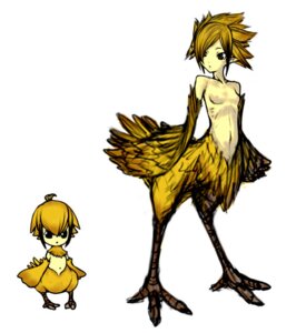 Rating: Questionable Score: 0 Tags: artist_request chibi chicobo chocobo female final_fantasy hair_over_one_eye harpy midriff monster_girl navel nipples nude personification pointy_ears rule34 simple_background talons wings User: bunchy7s
